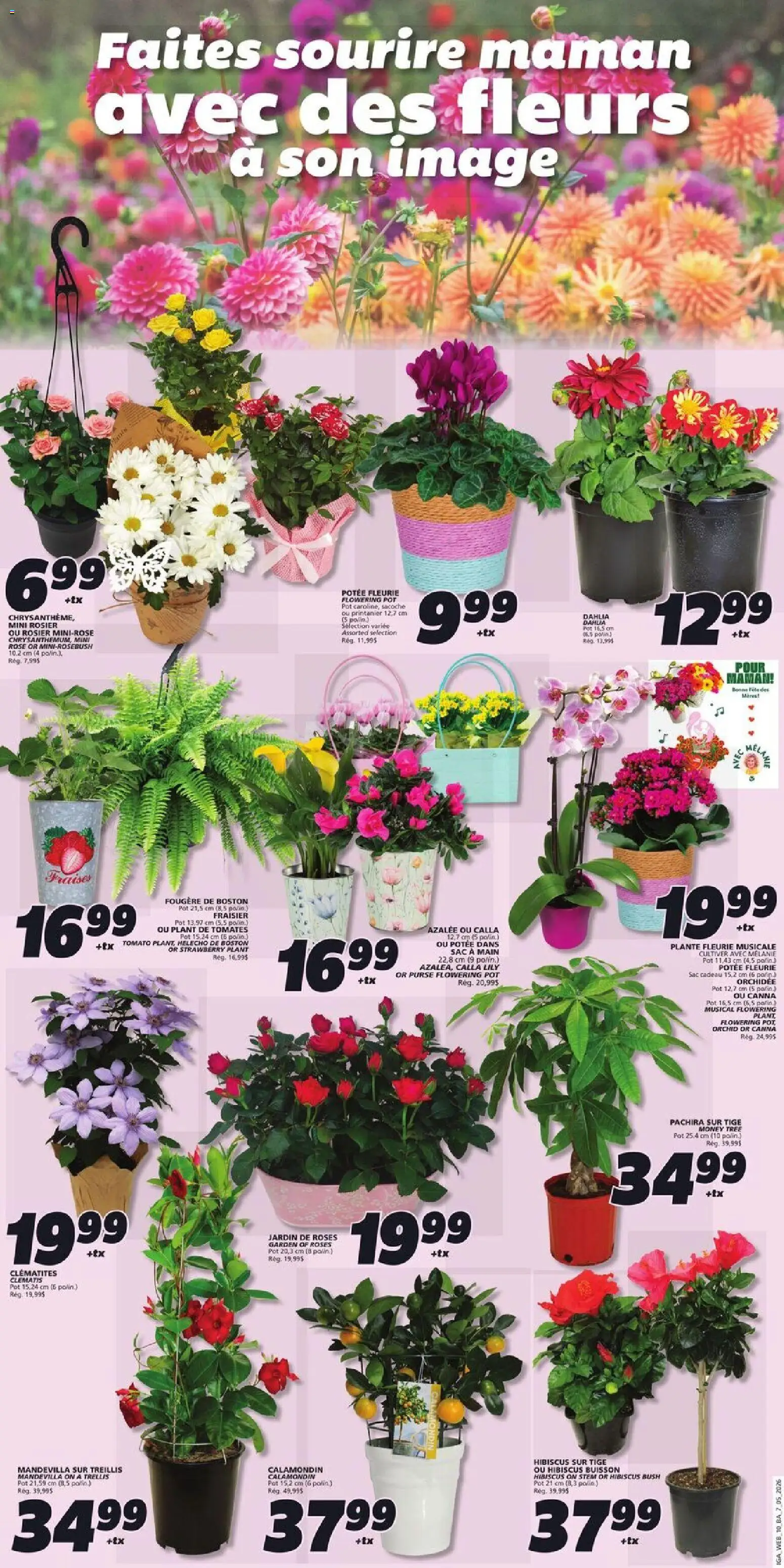 IGA flyer valid from 07.05.2026 | Page: 5 | Products: Purse