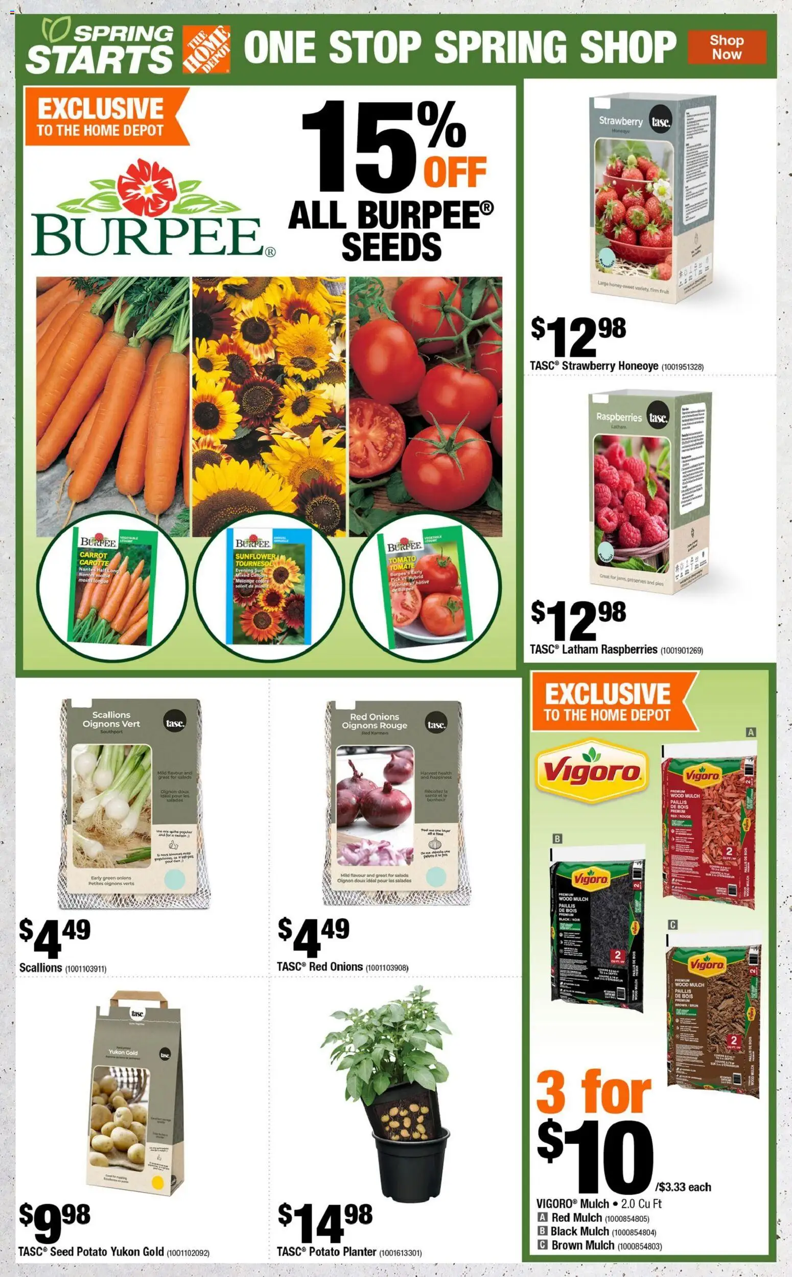 Home Depot flyer valid from 16.04.2026 | Page: 4 | Products: Carrot