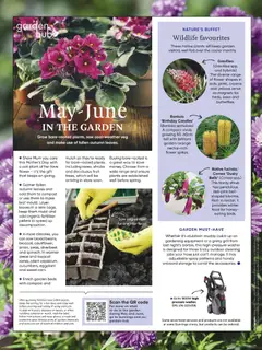 Preview of Bunnings Warehouse - Bunnings Magazine May/June 2026 - valid from 01.05.2026 | Page: 12