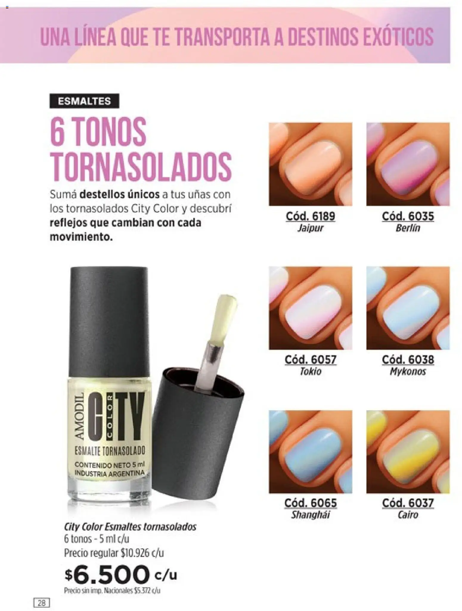 Catálogo Amodil Campaña 16 │ válido desde el 19/09/2026 | Página: 28 | Productos: Té