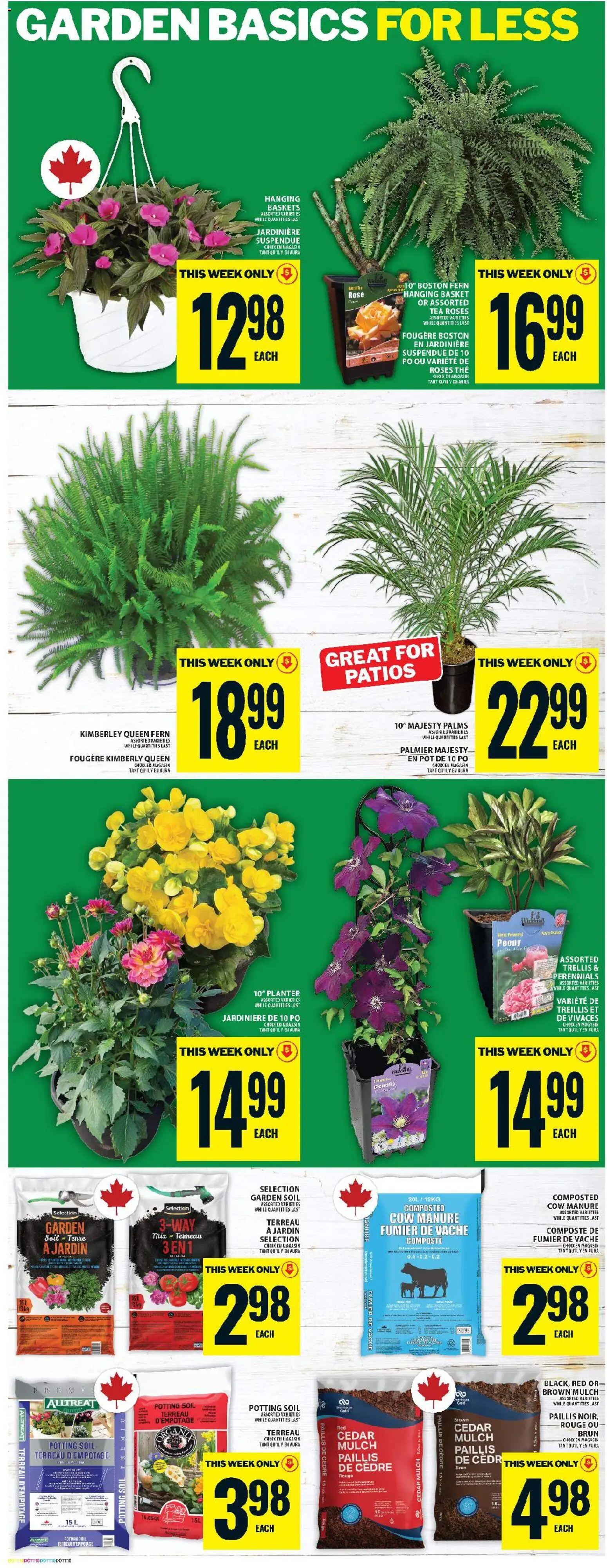 Food Basics flyer valid from 21.05.2026 | Page: 16 | Products: Tea, Basket