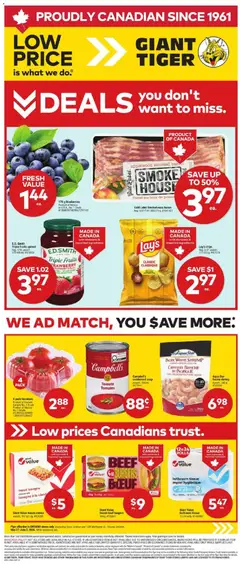 Preview of Giant Tiger Weekly Flyer from shop Giant Tiger valid from 27.05.2026