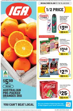 Preview of IGA catalogue SA - valid from 10.06.2026