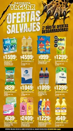Vista previa Yaguar - Oferta Semanal Chaco válido desde el 03/08/2026