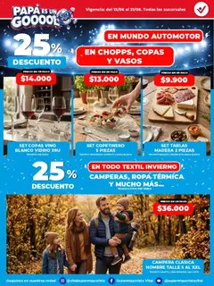 Vista previa Vital - Especial día del padre válido desde el 13.06.2026 | Página: 4