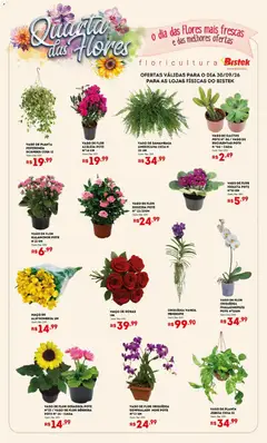 Bistek Supermercados ofertas Quarta das Flores - Pré-Visualização do folheto da loja Bistek Supermercados, válido de 30/09/2026