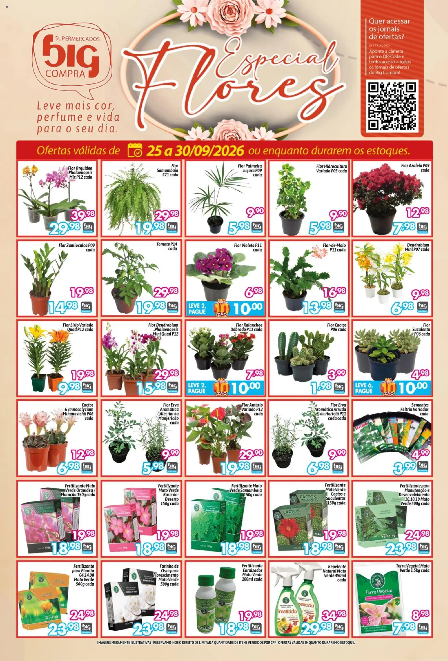 Big Compra ofertas Flores Sexta-feira 25 Setembro