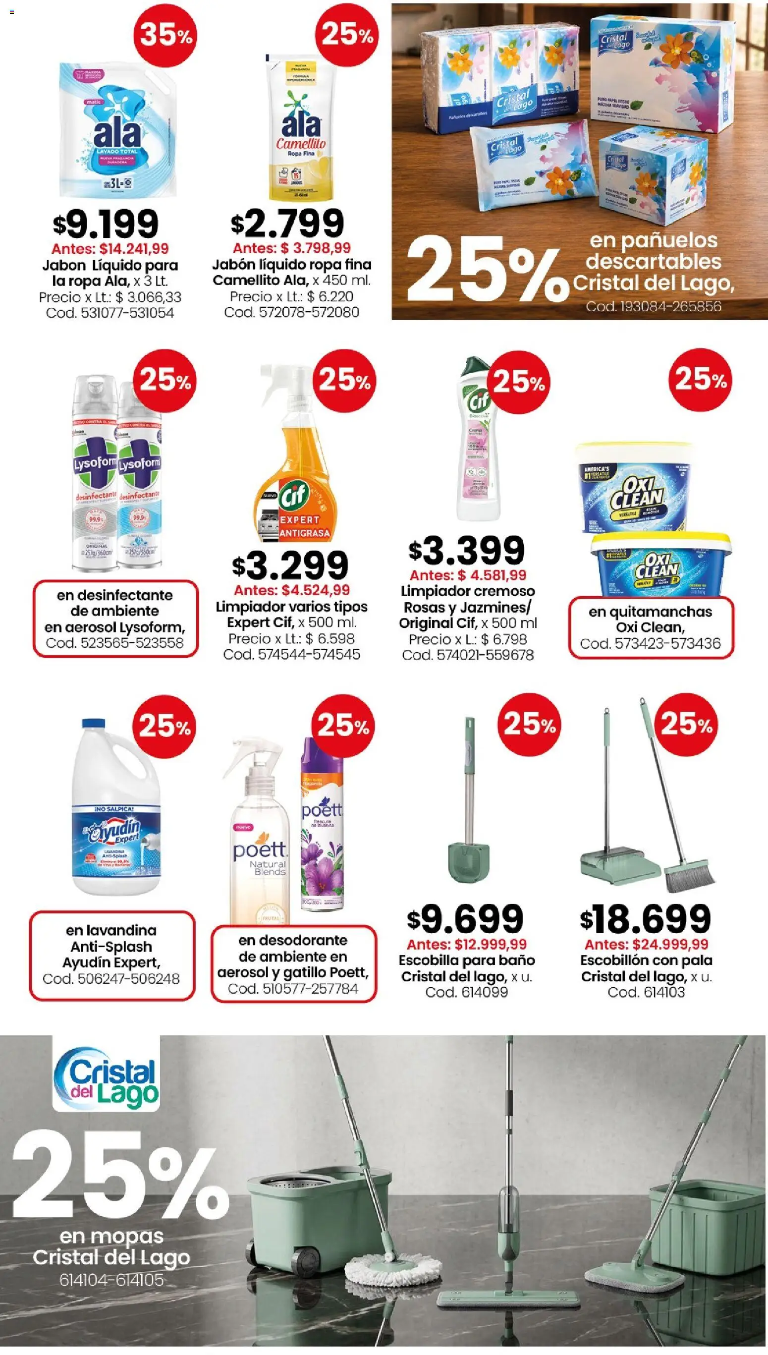 Coto - Perfumería y limpieza │ válido desde el 10/08/2026 | Página: 2 | Productos: Desinfectante, Desodorante, Ropa, Pala