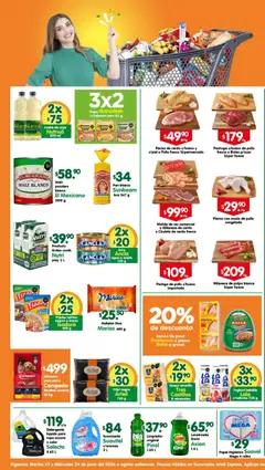 Vista previa de Arteli folleto Express, nuevo folleto de la tienda, válido en México a partir del 23/06/2026