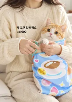 2026/09/17부터 유효한 다이소 광고 미리보기 | 페이지: 3 | 상품: 담요