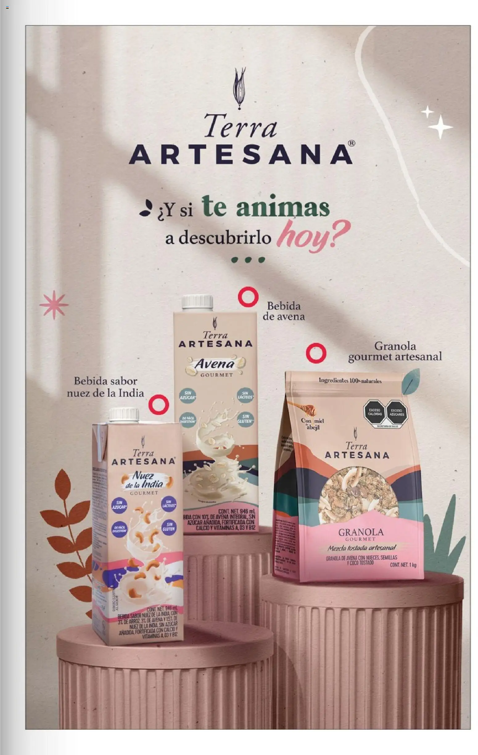 Nuevas ofertas de Costco válidas en toda la República Mexicana desde el 01/07/2026. ¡Encuentra las mejores ofertas en Costco Revista Julio 2026! | Página: 71 | Productos: Azúcar, Nuez, Vitaminas, Té
