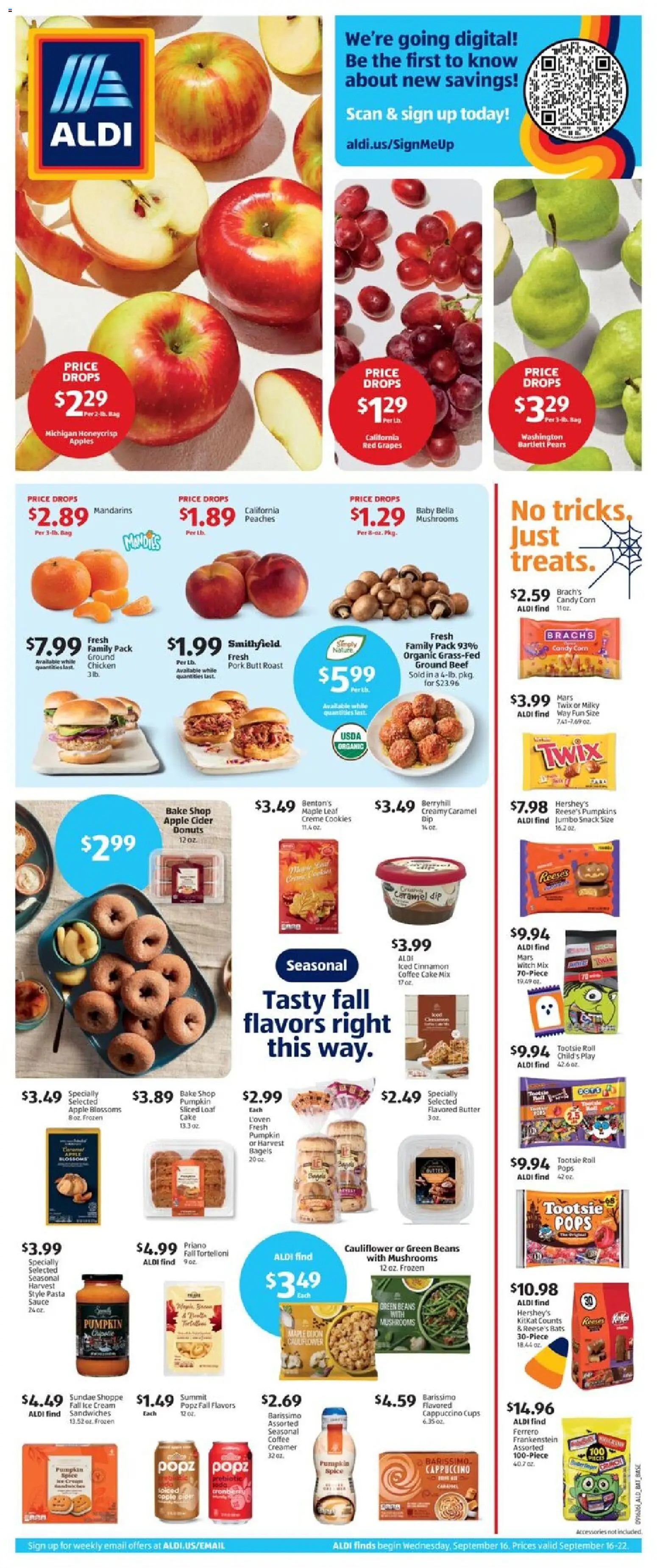 Aldi Weekly Ad - valid from 09/16/2026 | Page: 1