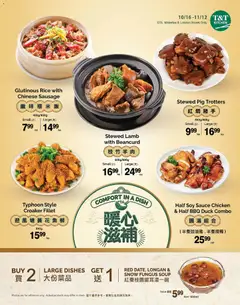 Preview of T&T Supermarket flyer - Comfort in a Dish from shop T&T Supermarket valid from Oct 16, 2026