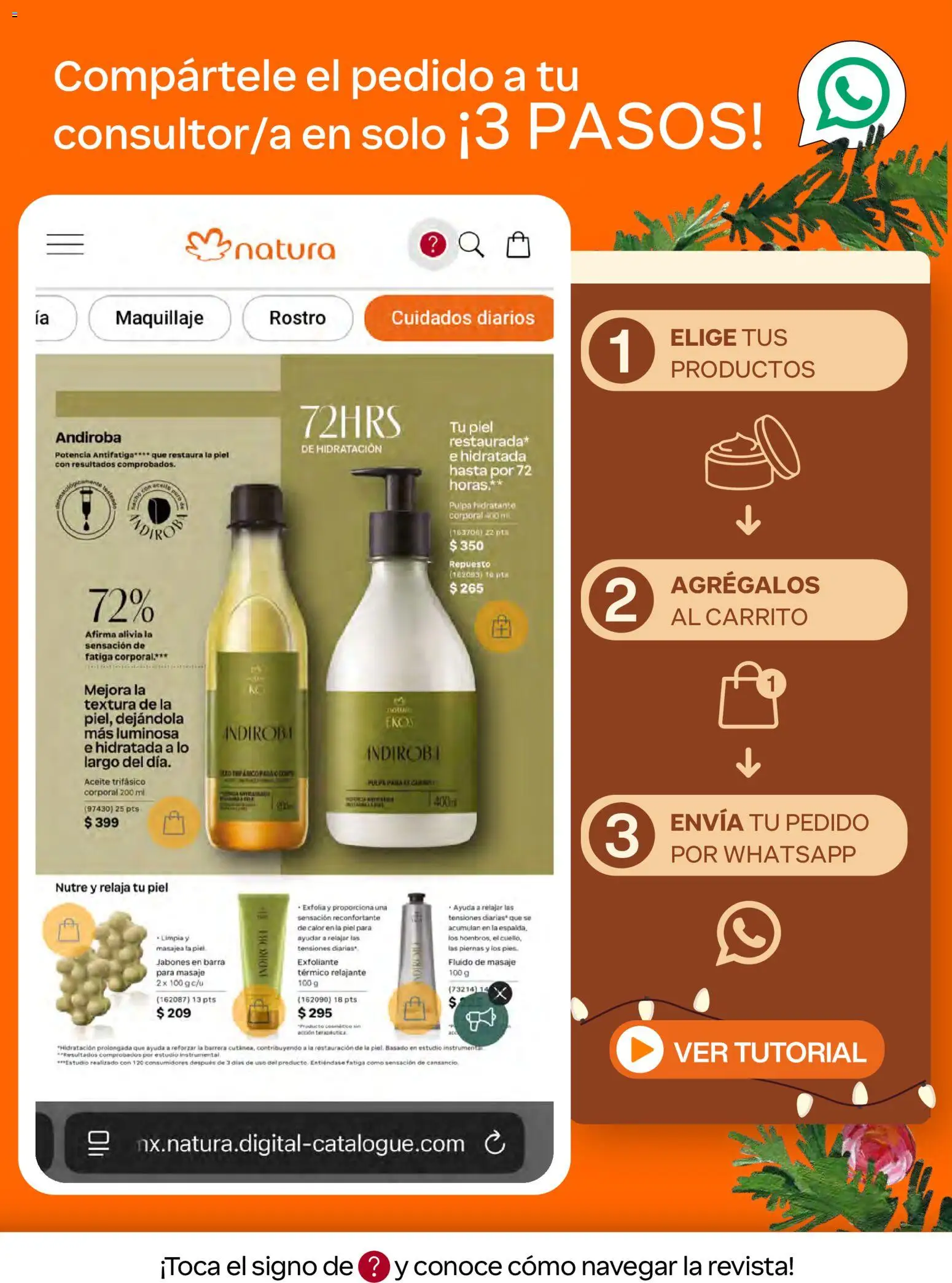 Nuevas ofertas de Natura válidas en toda la República Mexicana desde el 07/11/2026. ¡Encuentra las mejores ofertas en Natura campaña 17 2026! | Página: 3