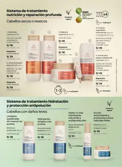 Vista previa de folleto Natura catálogo  - Ciclo 8 de la Natura válido desde 05.05.2026 | Página: 137 | Productos: Máscara, Shampoo, Acondicionador, Crema