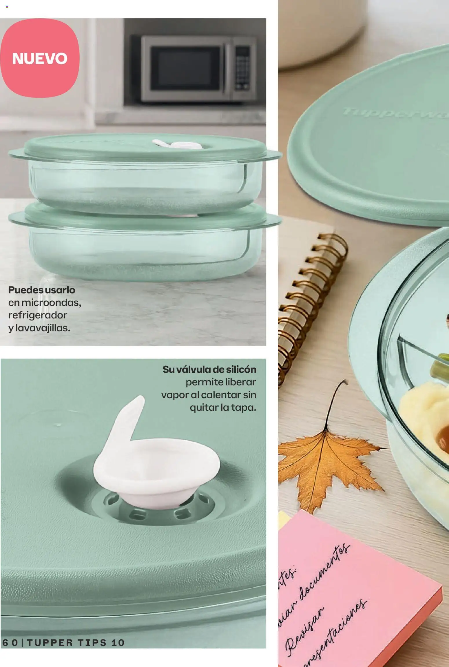 Nuevas ofertas de Tupperware válidas en toda la República Mexicana desde el 07/09/2026. ¡Encuentra las mejores ofertas en Tupperware catálogo! | Página: 60 | Productos: Refrigerador, Tupper, Válvula