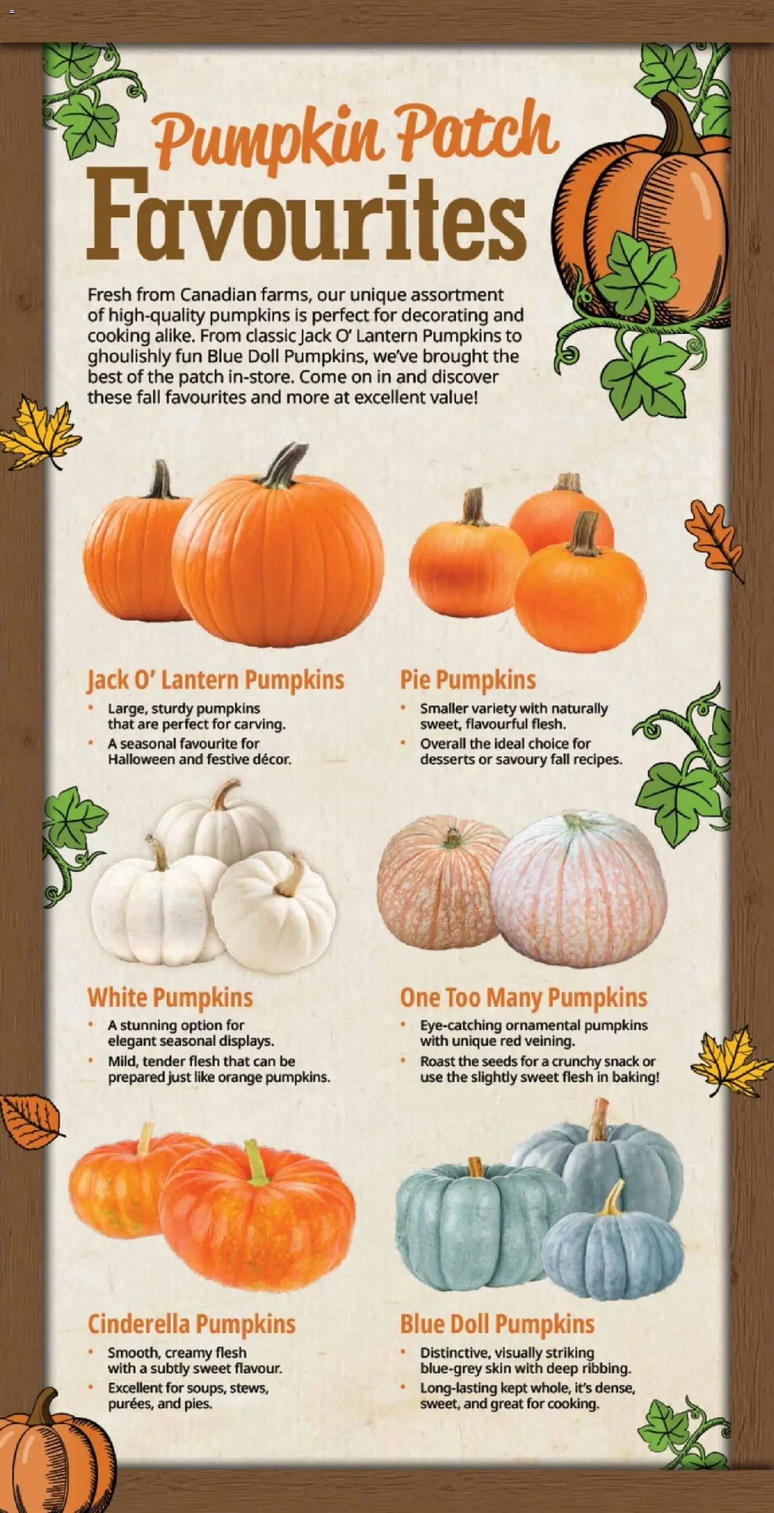 Farm Boy Flyer - Page 6 of 10