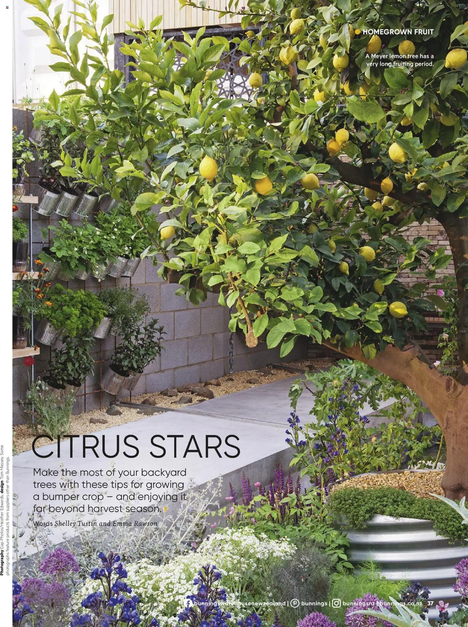 Bunnings Warehouse catalogue from 01.06.2026 | Page: 37