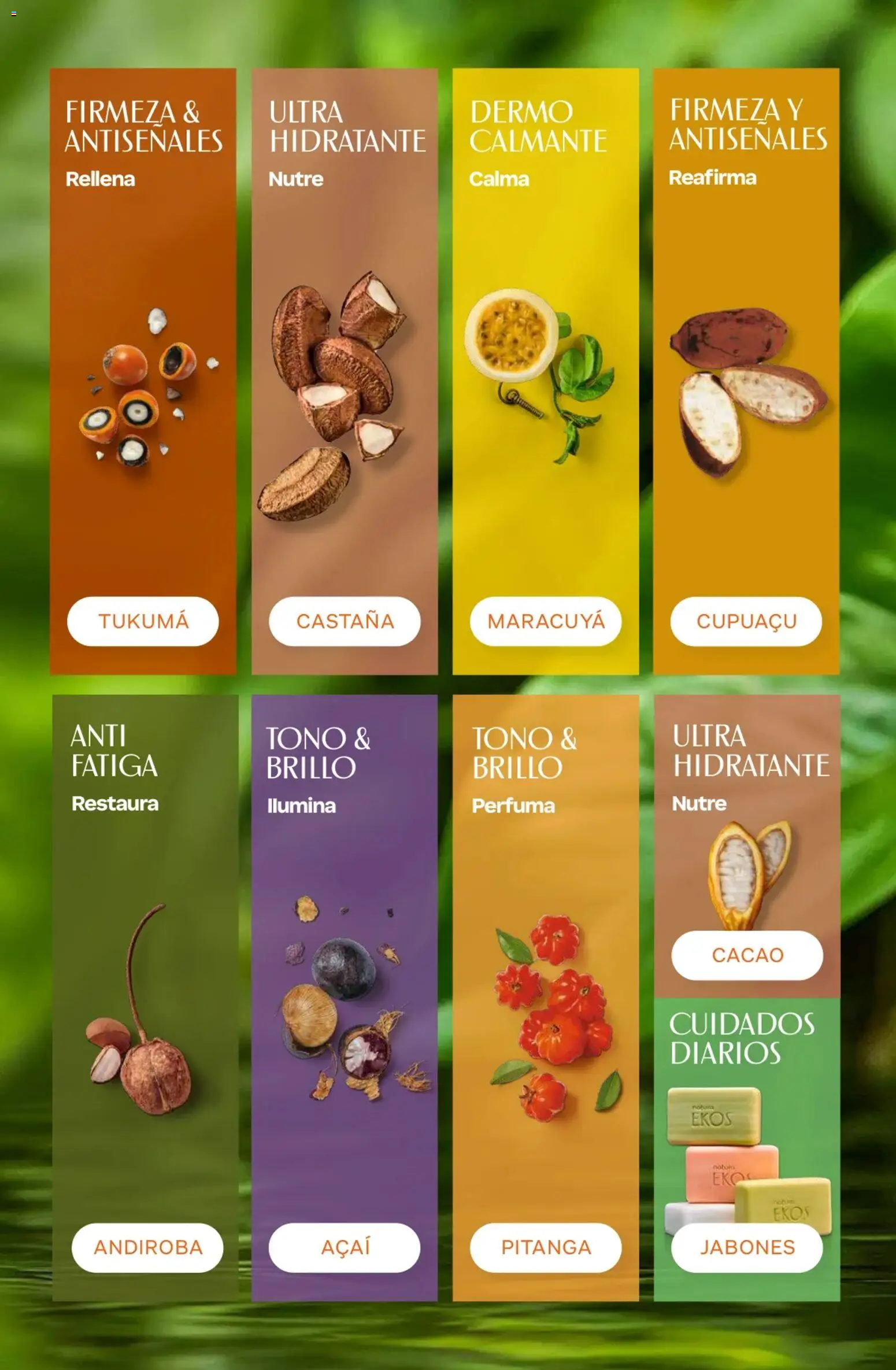Catálogo Natura Ciclo 15 │ válido desde el 22/10/2026 | Página: 202