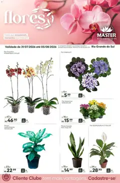 Master ofertas Flores - Pré-Visualização do folheto da loja Master, válido de 31/07/2026