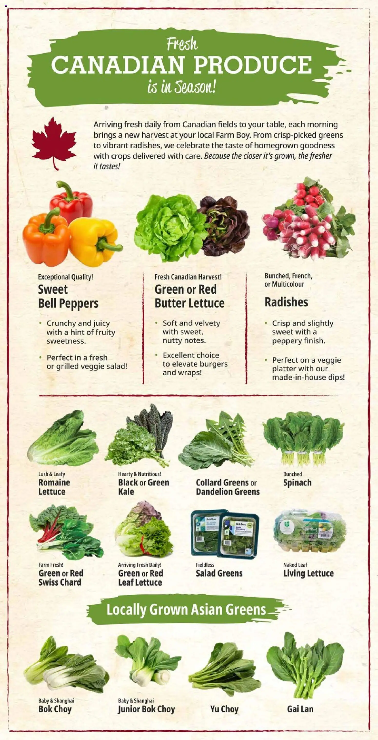 Farm Boy flyer valid from 18.06.2026 | Page: 9