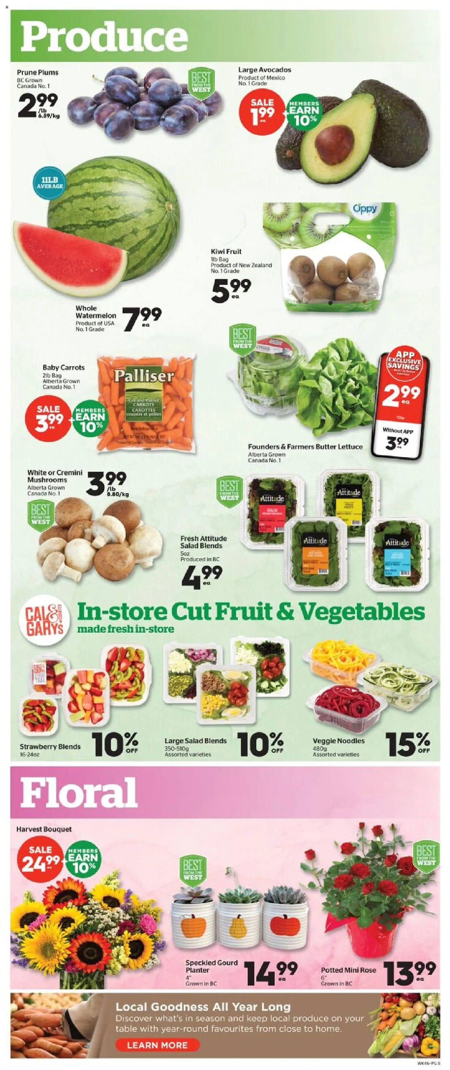 Calgary Co-op flyer valid from Sep 17, 2026 | Page: 5 | Products: Kiwi, Salad, Watermelon, Butter