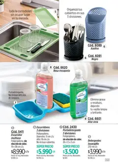 Vista previa Amodil - Campaña 10 válido desde el 01.06.2026 | Página: 143 | Productos: Detergente, Escurridor