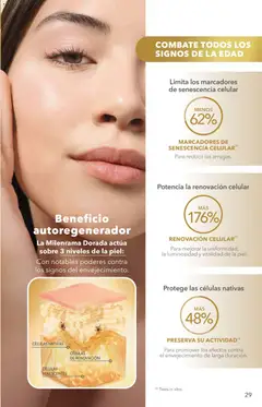 Vista previa de Yves Rocher campaña 8 2026, nuevo folleto de la tienda, válido en México a partir del 02.06.2026 | Página: 29