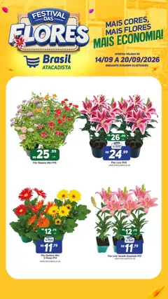 Brasil Atacadista ofertas Flores - Pré-Visualização do folheto da loja Brasil Atacadista, válido de 14/09/2026