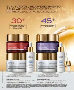 Catálogo L'Bel Campaña 10 válido desde el 01.06.2026 | Página: 42 | Productos: Agua, Crema