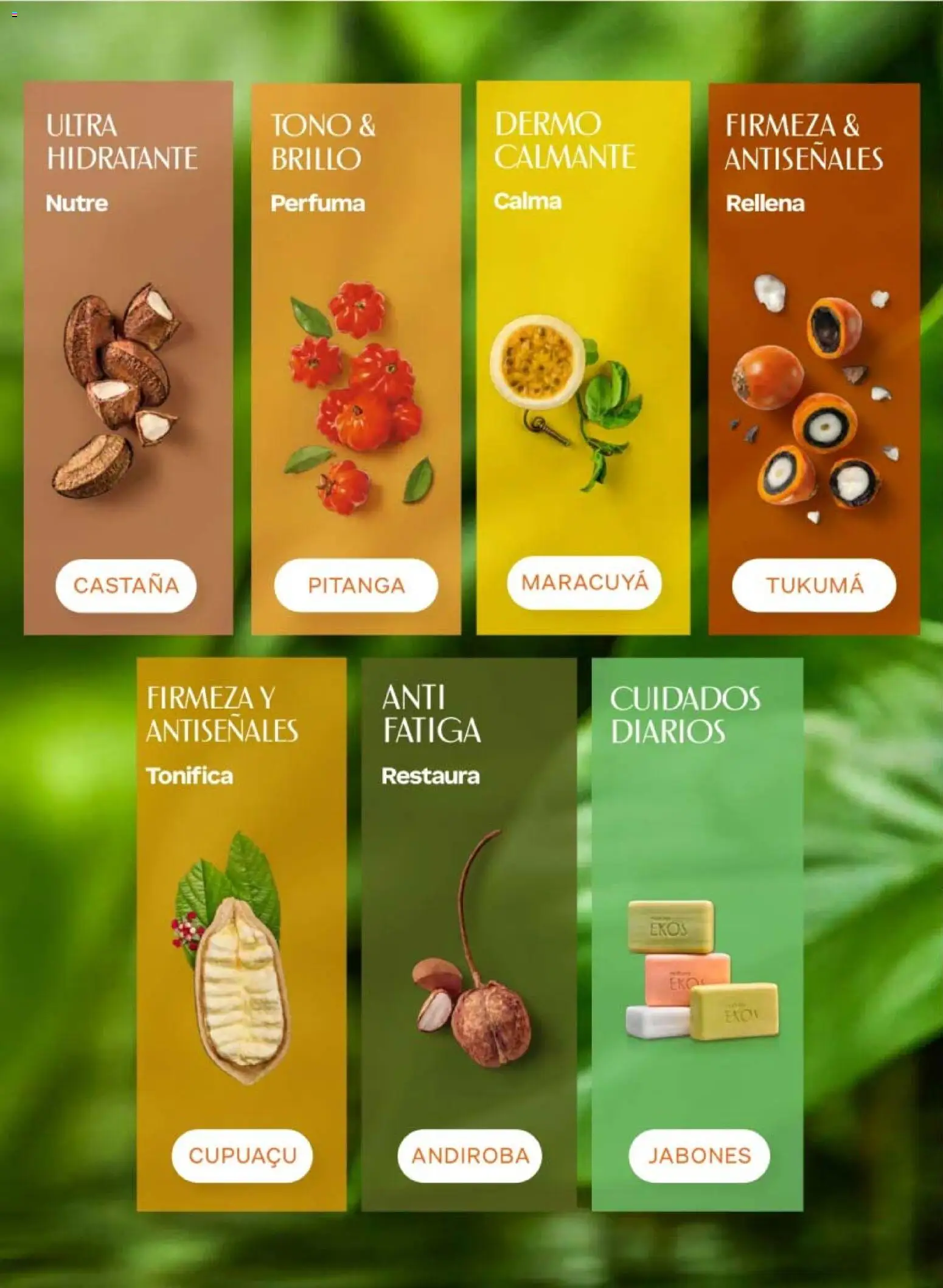 Nuevas ofertas de Natura válidas en toda la República Mexicana desde el 10/07/2026. ¡Encuentra las mejores ofertas en Natura campaña 11 2026! | Página: 102 | Productos: Brillo
