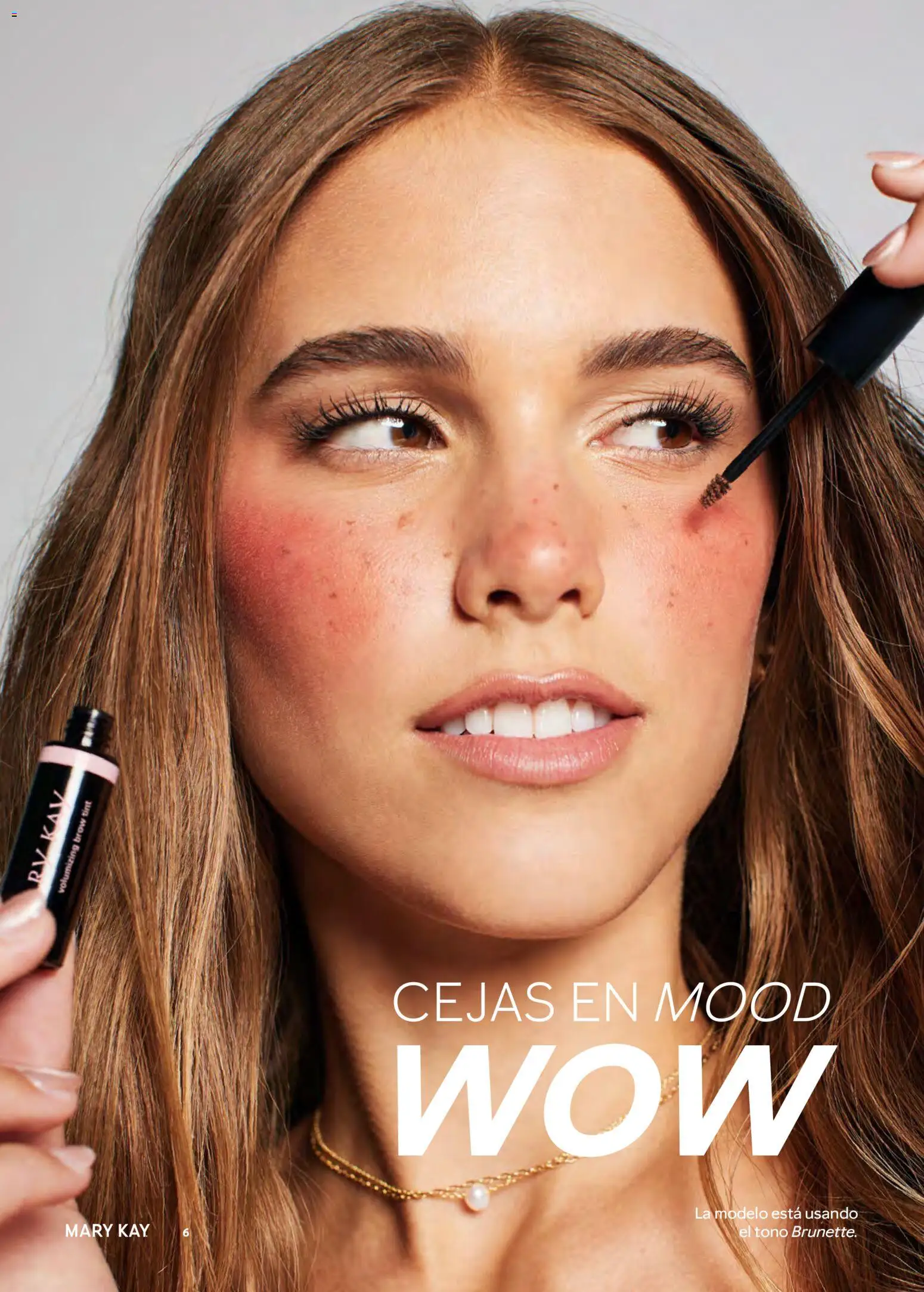Nuevas ofertas de Mary Kay válidas en toda la República Mexicana desde el 01.03.2026. ¡Encuentra las mejores ofertas en Mary Kay catálogo! | Página: 6