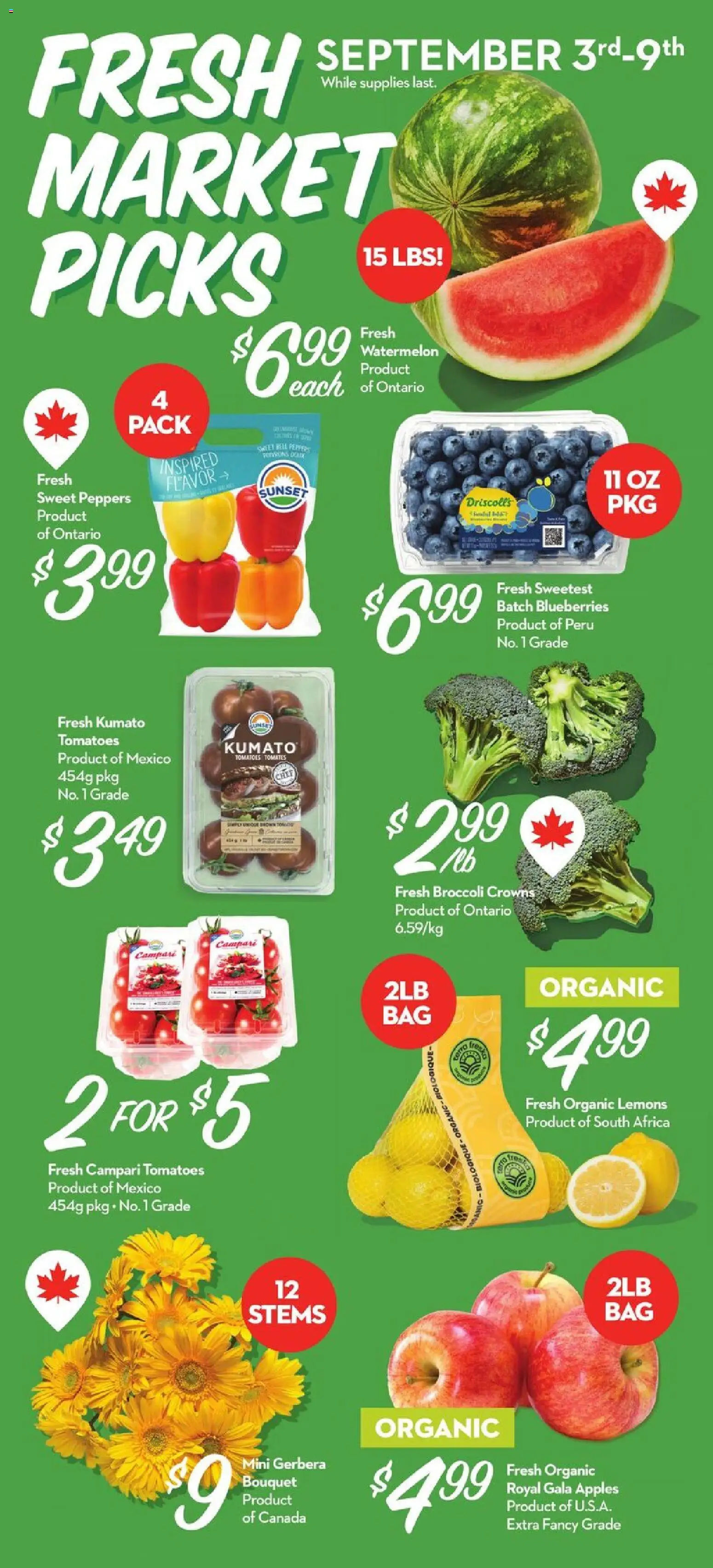 Longo's flyer valid from Sep 3, 2026 | Page: 2 | Products: Blueberries, Broccoli, Campari, Watermelon