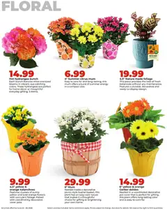 Preview of HyVee weekly ads valid from 06/22/2026 | Page: 34