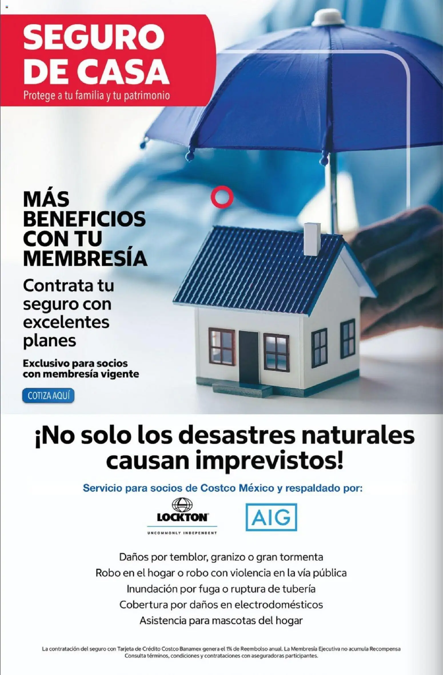 Nuevas ofertas de Costco válidas en toda la República Mexicana desde el 01.05.2026. ¡Encuentra las mejores ofertas en Costco Revista Mayo 2026! | Página: 42