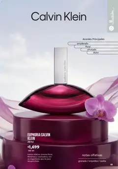 Vista previa de Ilusión catálogo Marcas Amigas, nuevo folleto de la tienda, válido en México a partir del 01/09/2026 | Página: 95 | Productos: Granada, Orquídea, Dulce
