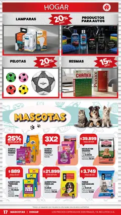 Vista previa Makro Ofertas válido desde el 10/09/2026 | Página: 15 | Productos: Bowl, Jarra, Alfombra, Té