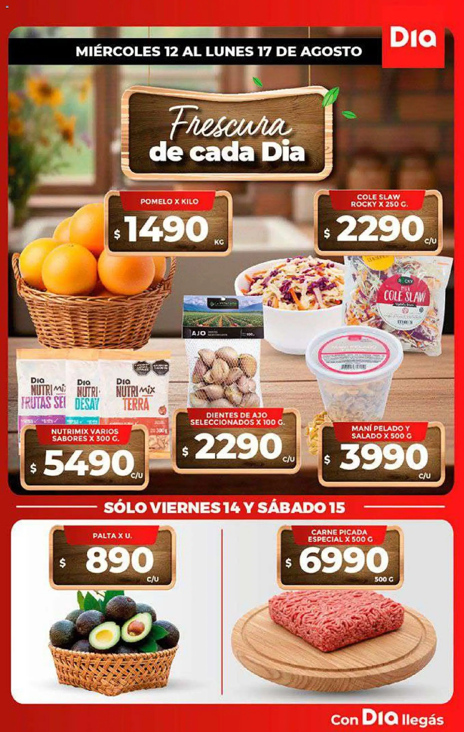 Supermercado DIA Folleto Frescos │ válido desde el 13/08/2026 | Página: 1 | Productos: Mani, Ajo, Palta, Carne picada
