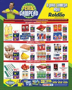 Roldão - Ofertas da semana - Pré-Visualização do folheto da loja Roldão, válido de 08.06.2026