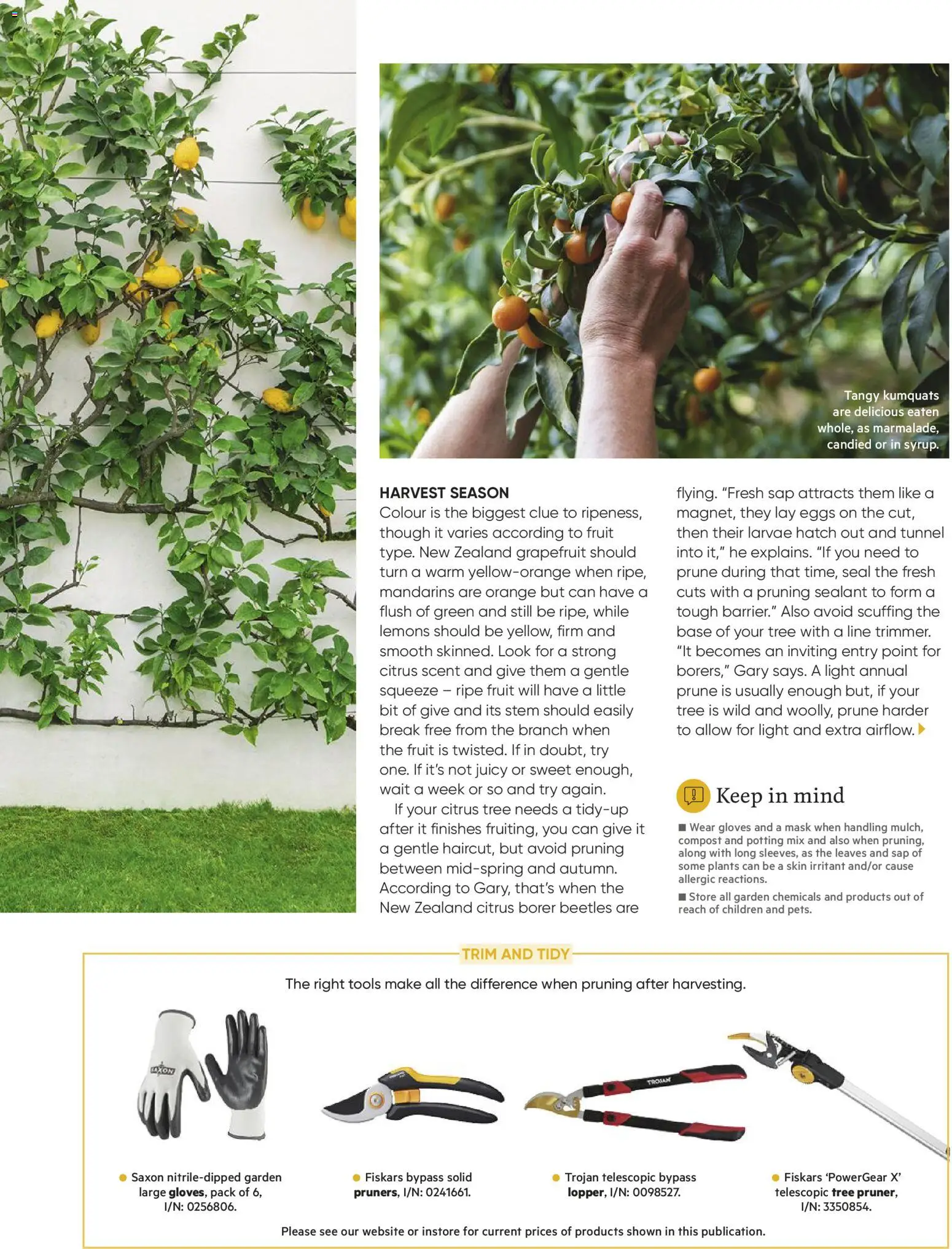 Bunnings Warehouse catalogue from 01.06.2026 | Page: 39