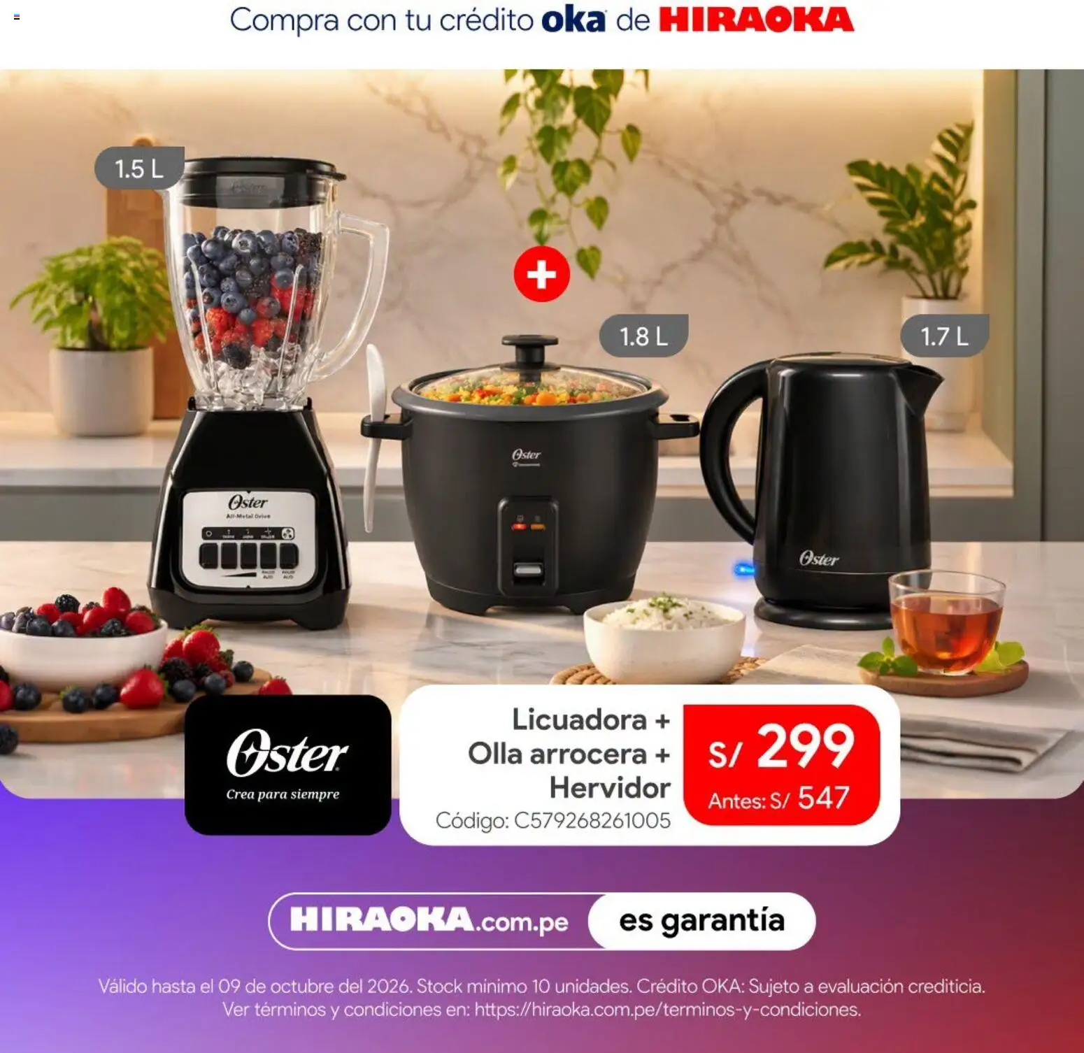Catálogo Hiraoka válido desde 07/10/2026 | Página: 4