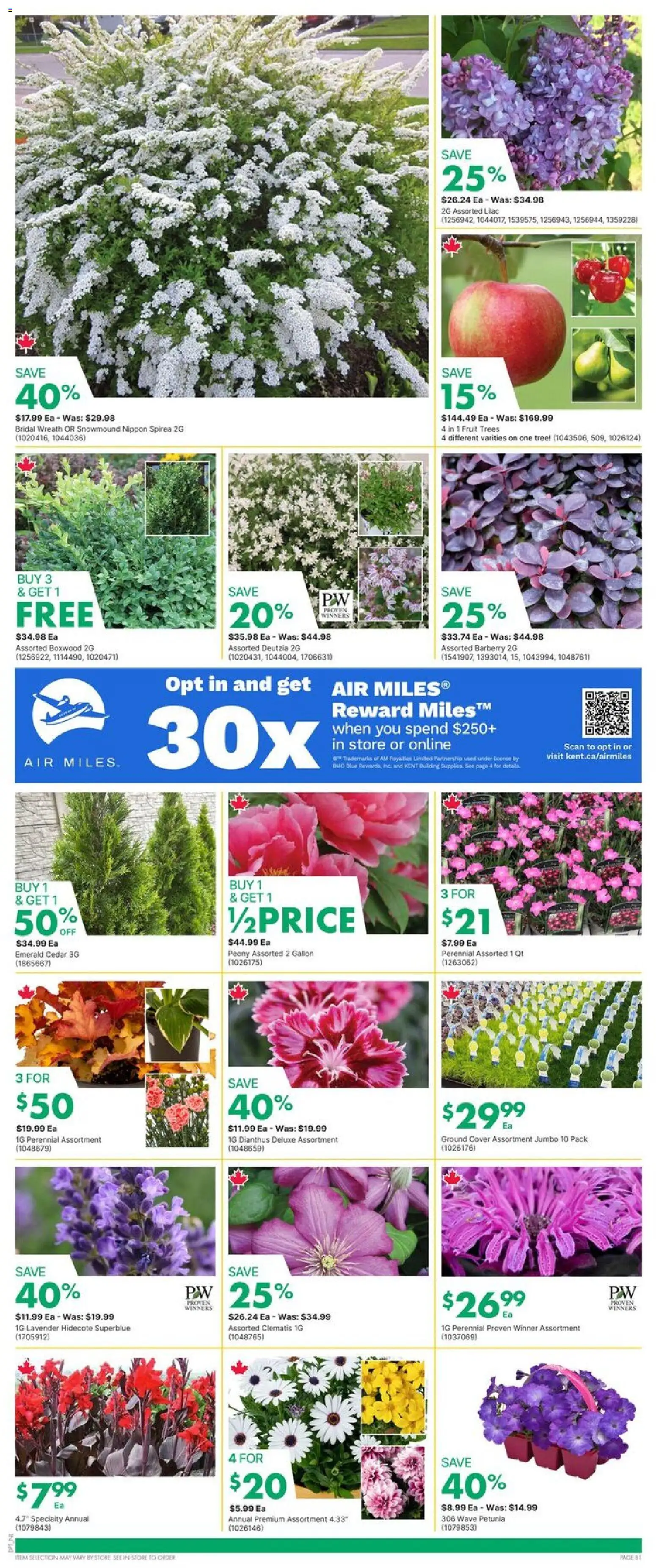 Kent flyer valid from 14.05.2026 | Page: 2