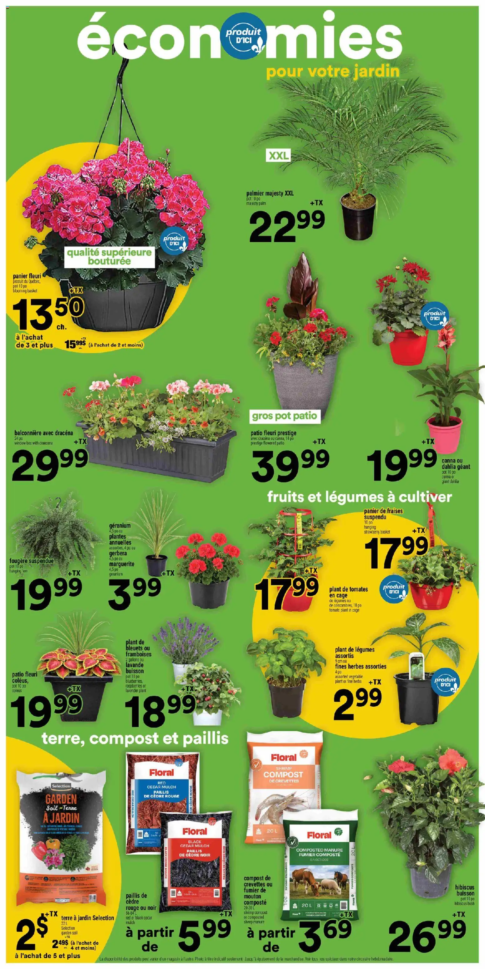 Super C flyer valid from 04.06.2026 | Page: 11