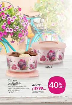 Vista previa Tupperware Folleto válido desde el 28.04.2026 | Página: 36