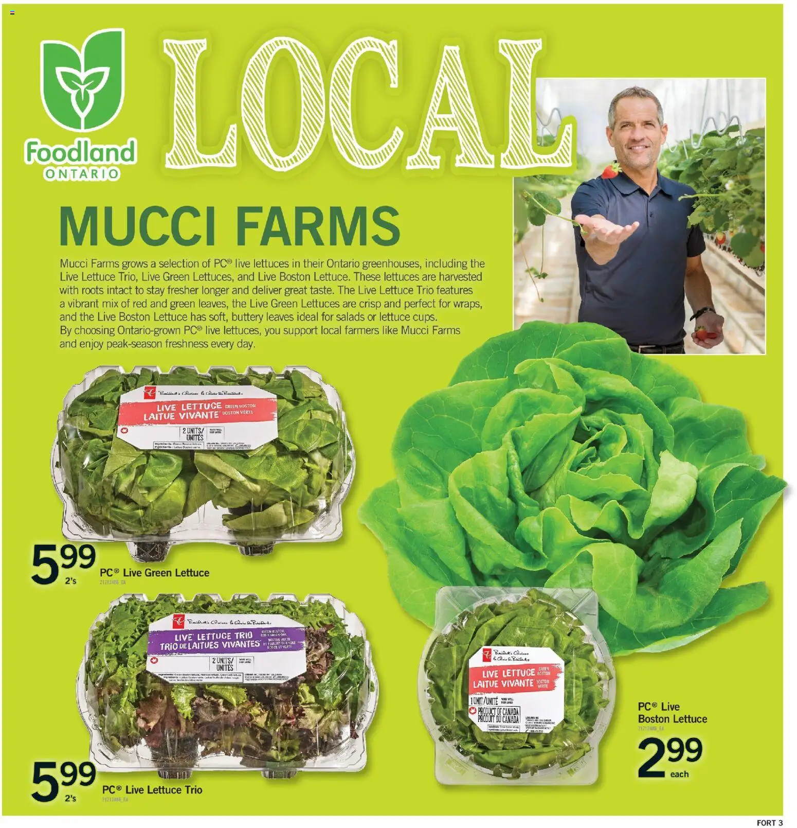 Fortinos flyer valid from Jul 2, 2026 | Page: 4