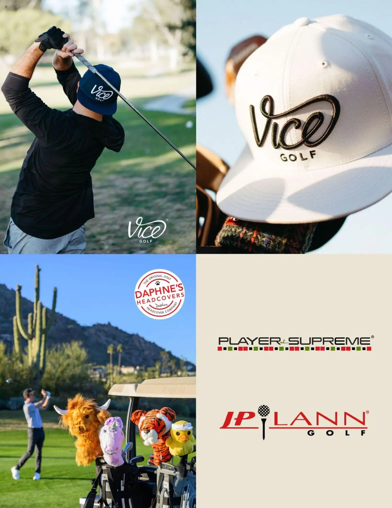 Dunham's Sports Golf Guide - valid from 12.03.2026 | Page: 17 | Products: Player