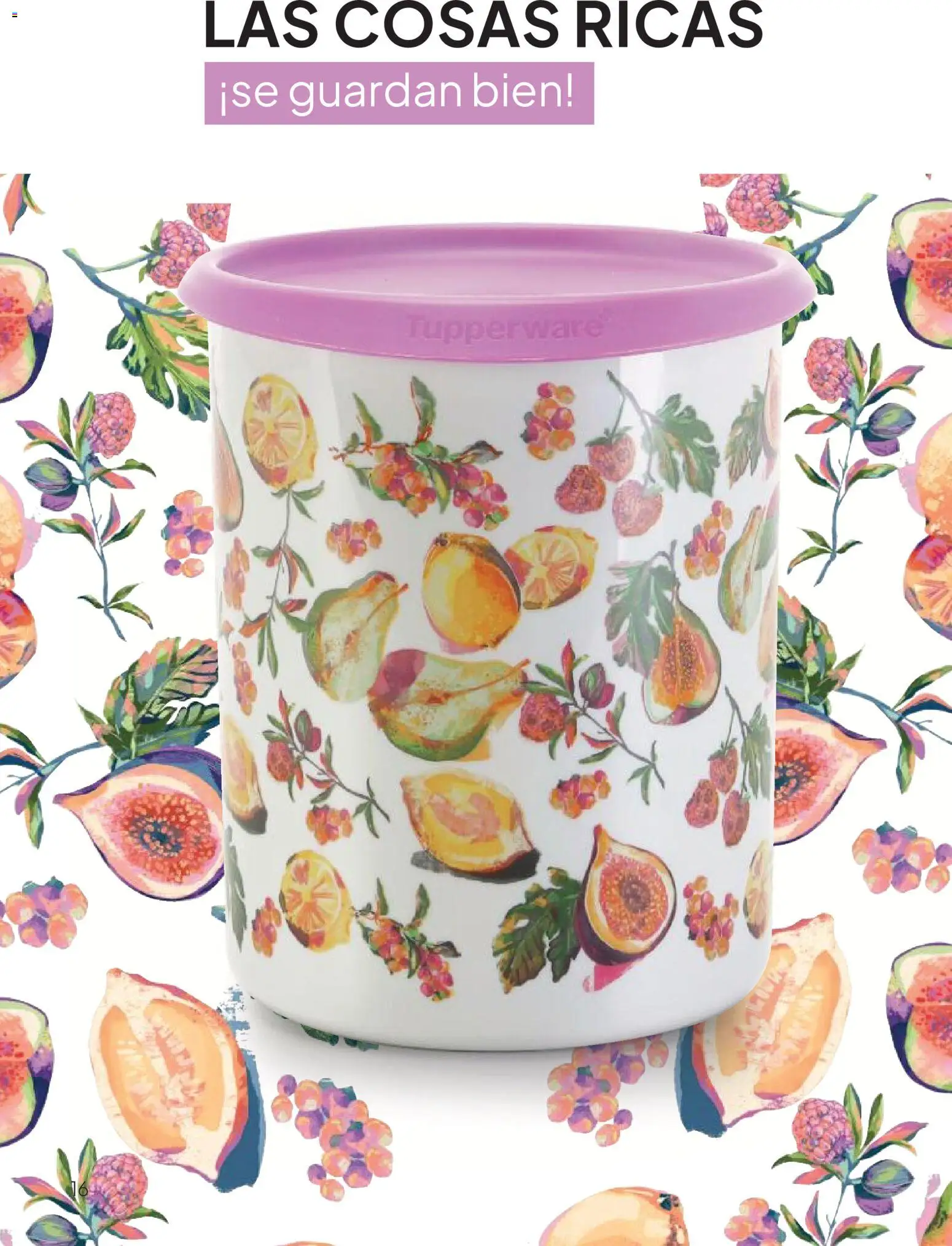 Tupperware Folleto │ válido desde el 18/09/2026 | Página: 17