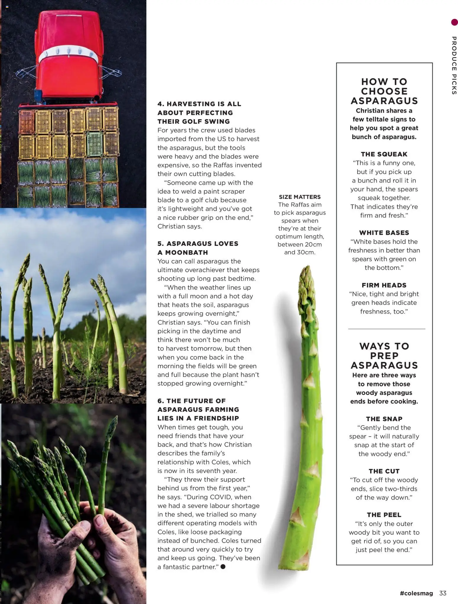 Coles catalogue - valid from 01/09/2026 | Page: 33 | Products: Scraper, Plant, Peel, Asparagus