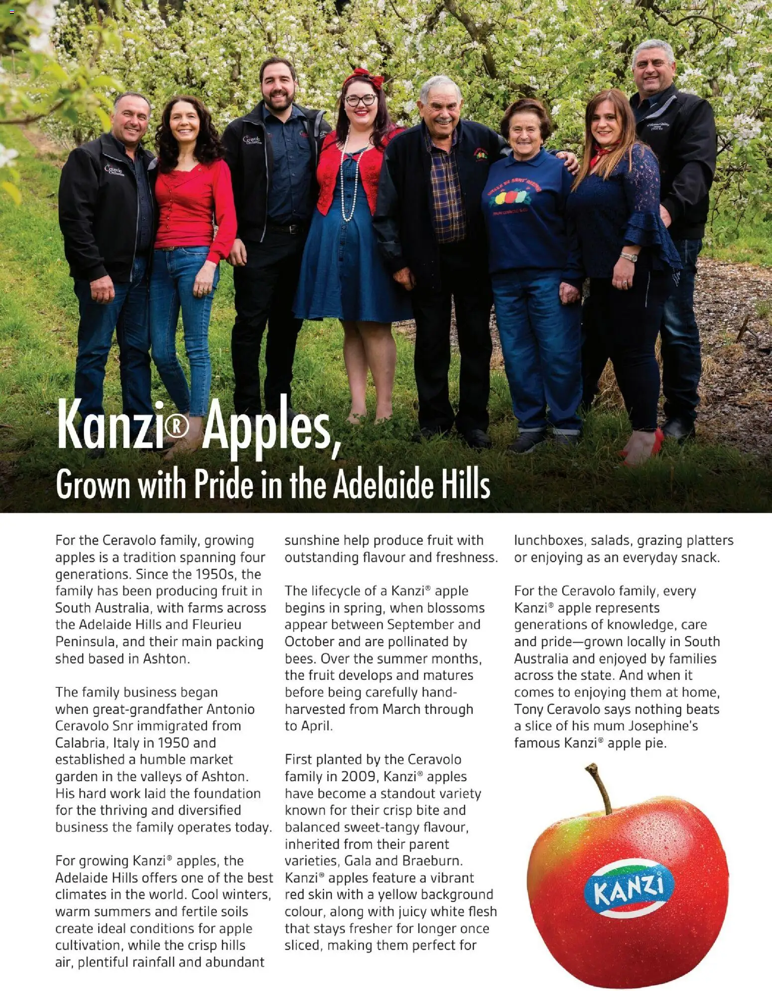 Foodland catalogue - valid from 06.06.2026 | Page: 13 | Products: Apples, Shed, Foundation