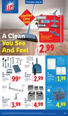 Preview of Lidl weekly ads valid from 10.06.2026 | Page: 41